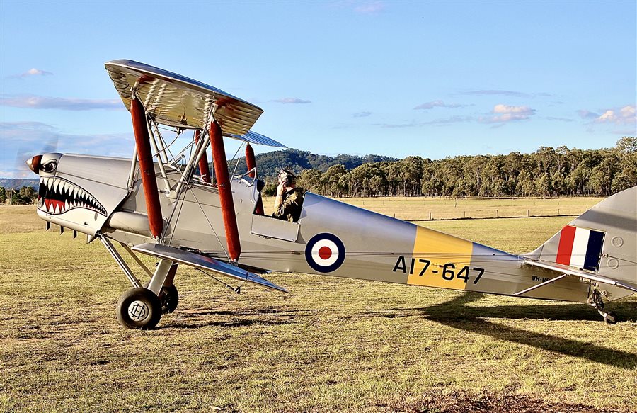 1942 De Havilland DH82A Tiger Moth Aircraft