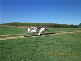 1946 Luscombe 8A Aircraft