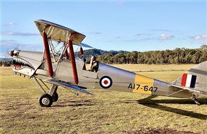 1942 De Havilland DH82A Tiger Moth Aircraft