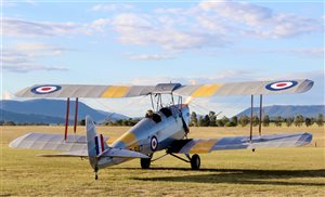 1942 De Havilland DH82A Tiger Moth Aircraft