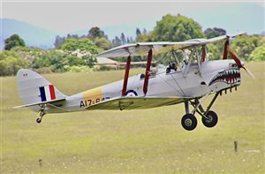 1942 De Havilland DH82A Tiger Moth Aircraft